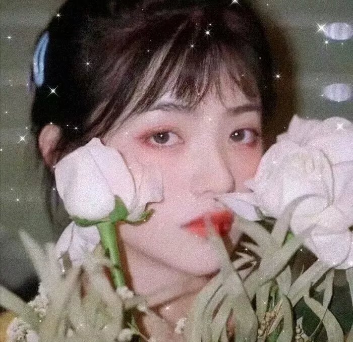 女人的一生